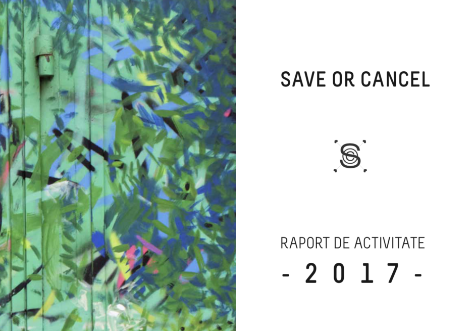 2017 Activity Report Save or Cancel