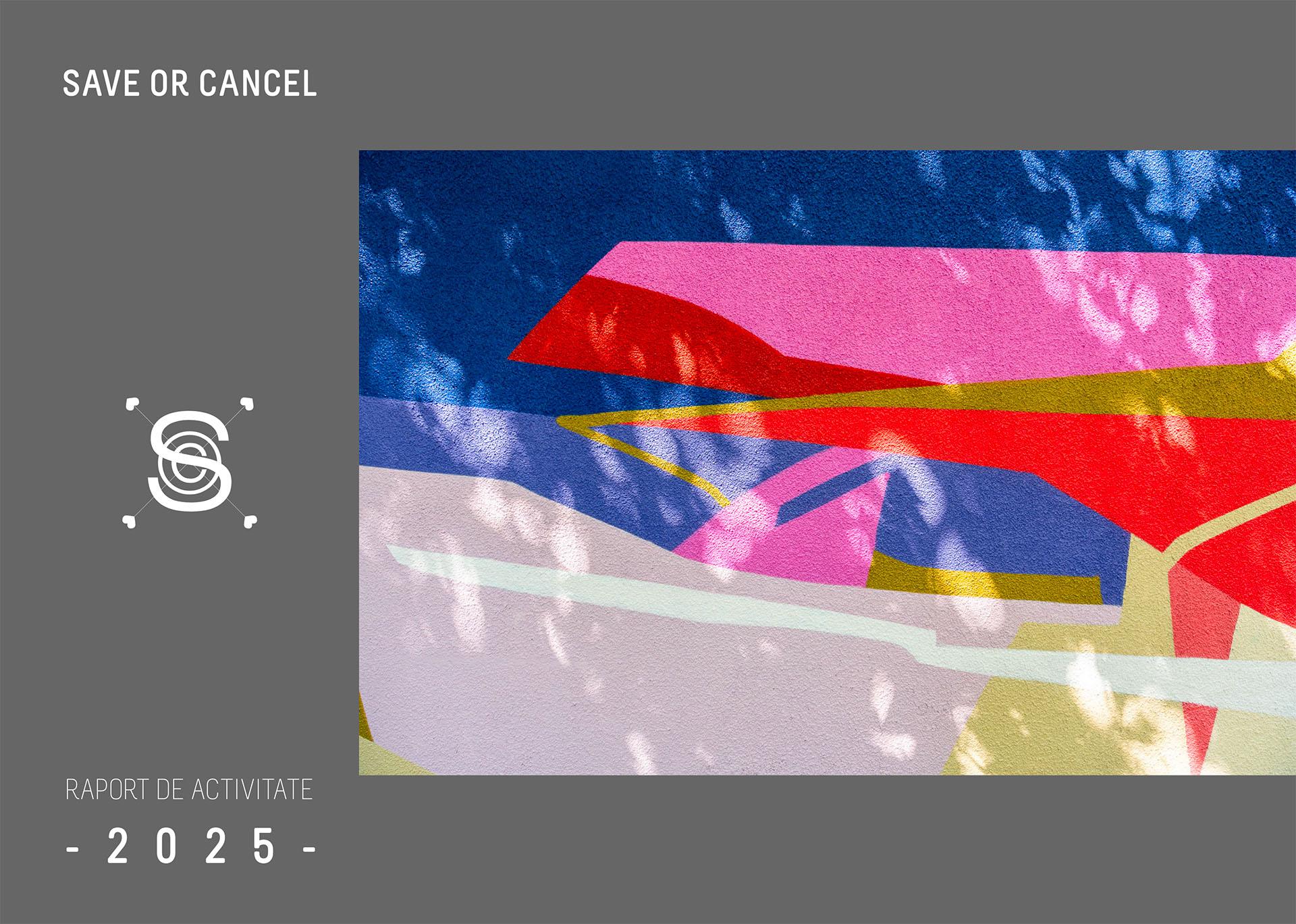 2025 Save or Cancel Activity Report