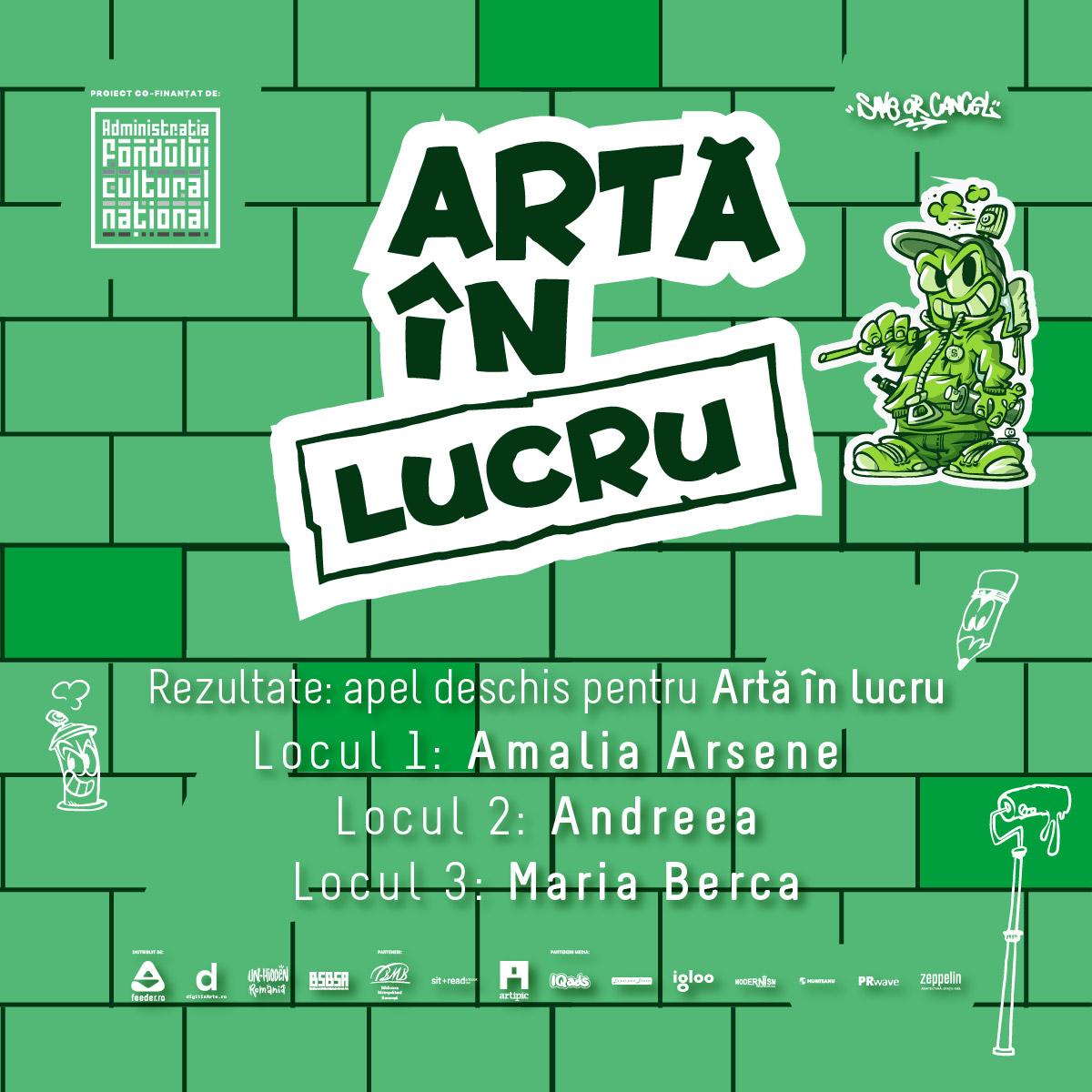 Rezultate Apel deschis pentru artă participativă Artă în lucru, nr. 5